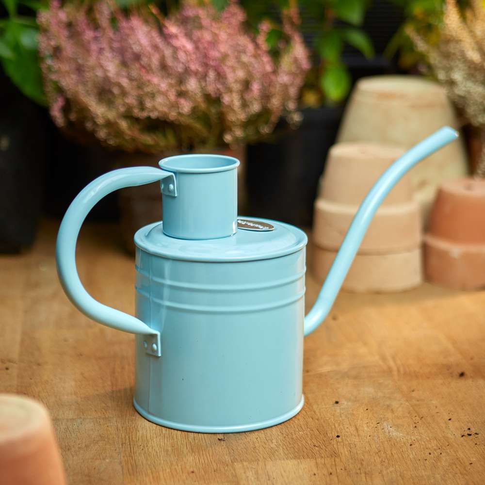 Inomhus vattenkanna – Blue Sky 1 L